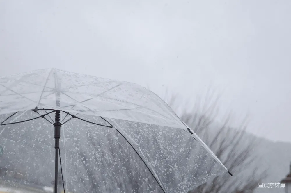 高清摄影 雪景 雨伞 冬季 自然 日常生活 雪中透明雨伞