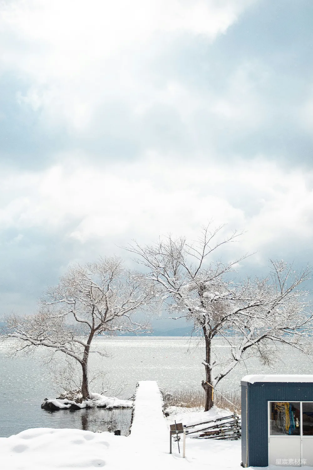 高清摄影 冬季 湖畔 雪景 静谧 自然 冬日湖畔的雪景