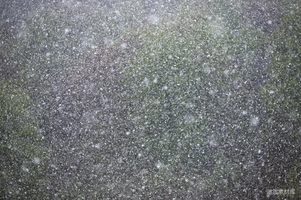 高清摄影 雪景 自然 冬季 雪地 宁静 飘雪的瞬间