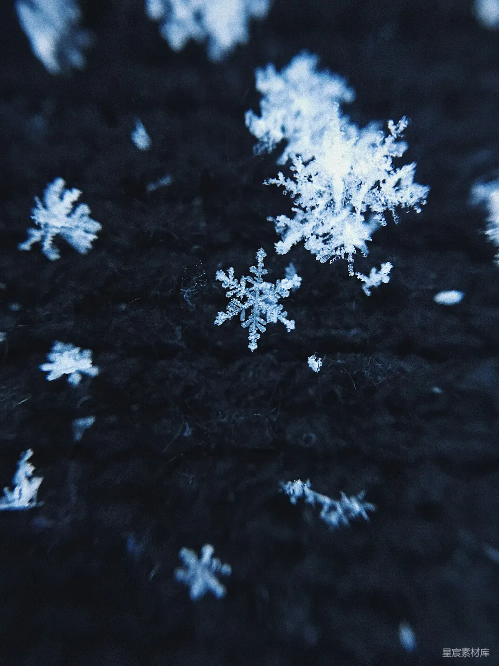 高清摄影 雪 冰晶 自然 冬季 寒冷 冰晶雪片