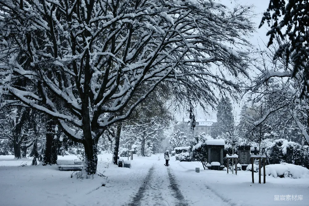高清摄影 雪景 墓地 冬季 静谧 自然 冬日雪景下的墓地