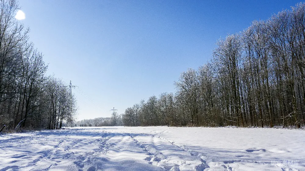 高清摄影 冬日 雪景 森林 宁静 自然 冬日雪景：宁静的森林小径