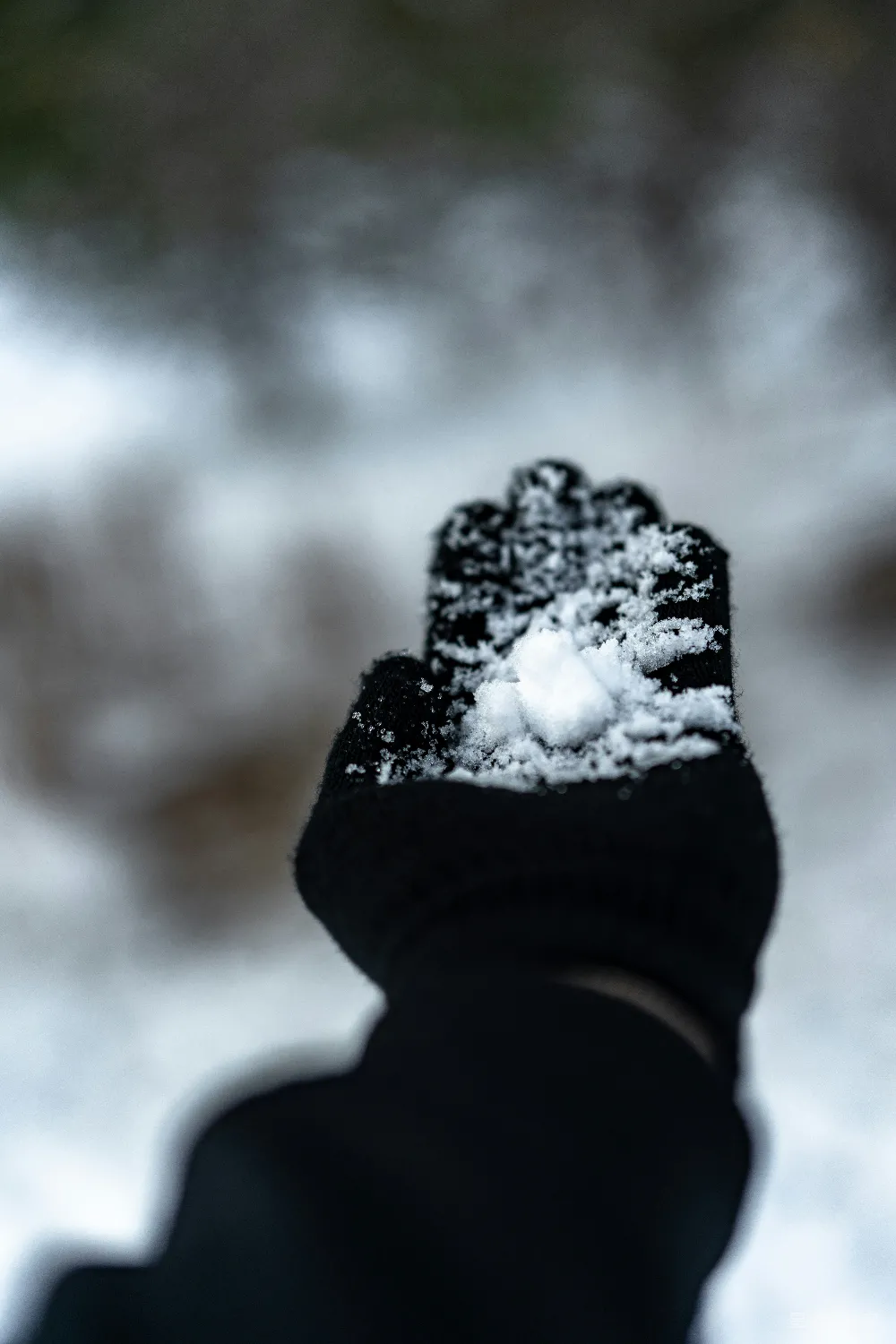 高清摄影 雪 冬天 手套 自然 户外 手上的雪花