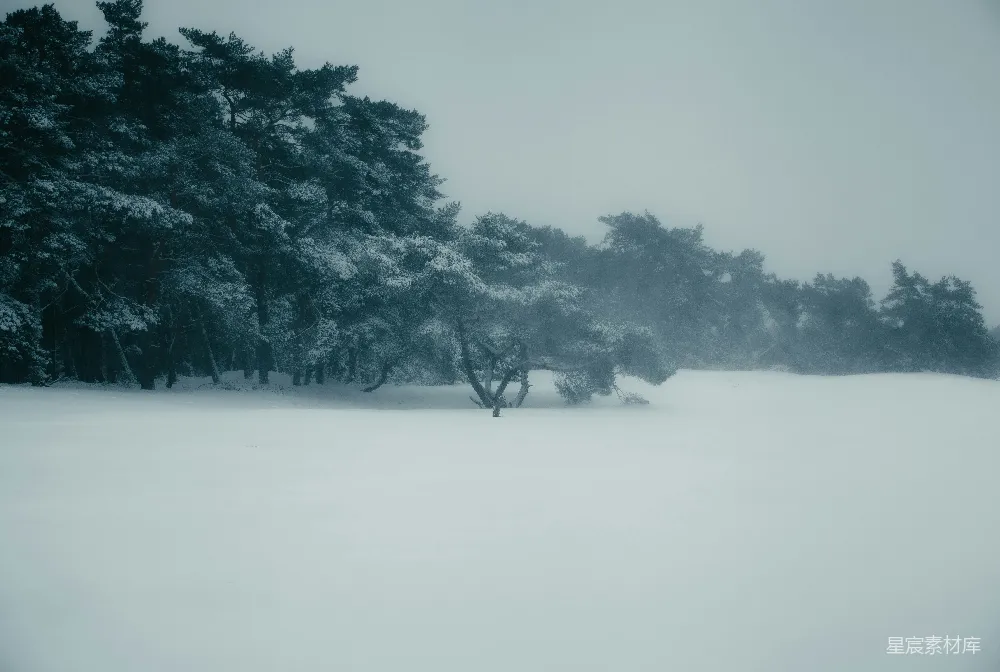 高清摄影 雪景 冬日 孤独 自然 风景 冬日雪景中的孤树
