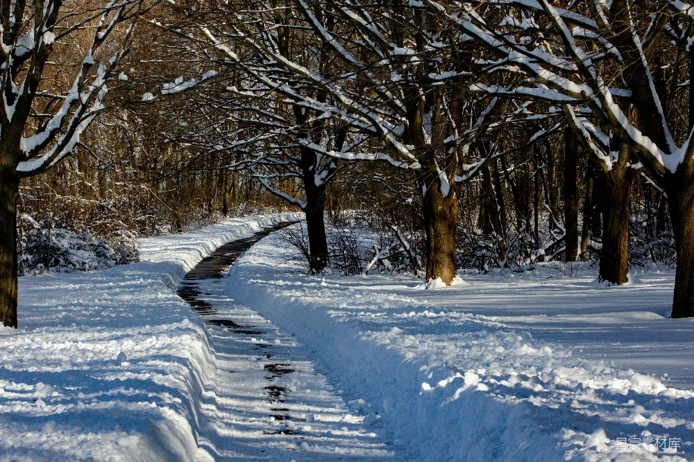 高清摄影 雪景 自然 冬季 小径 宁静 冬日雪景中的小径