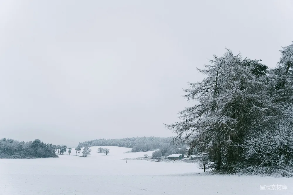 高清摄影 雪景 冬季 自然风光 宁静 乡村 冬日雪景