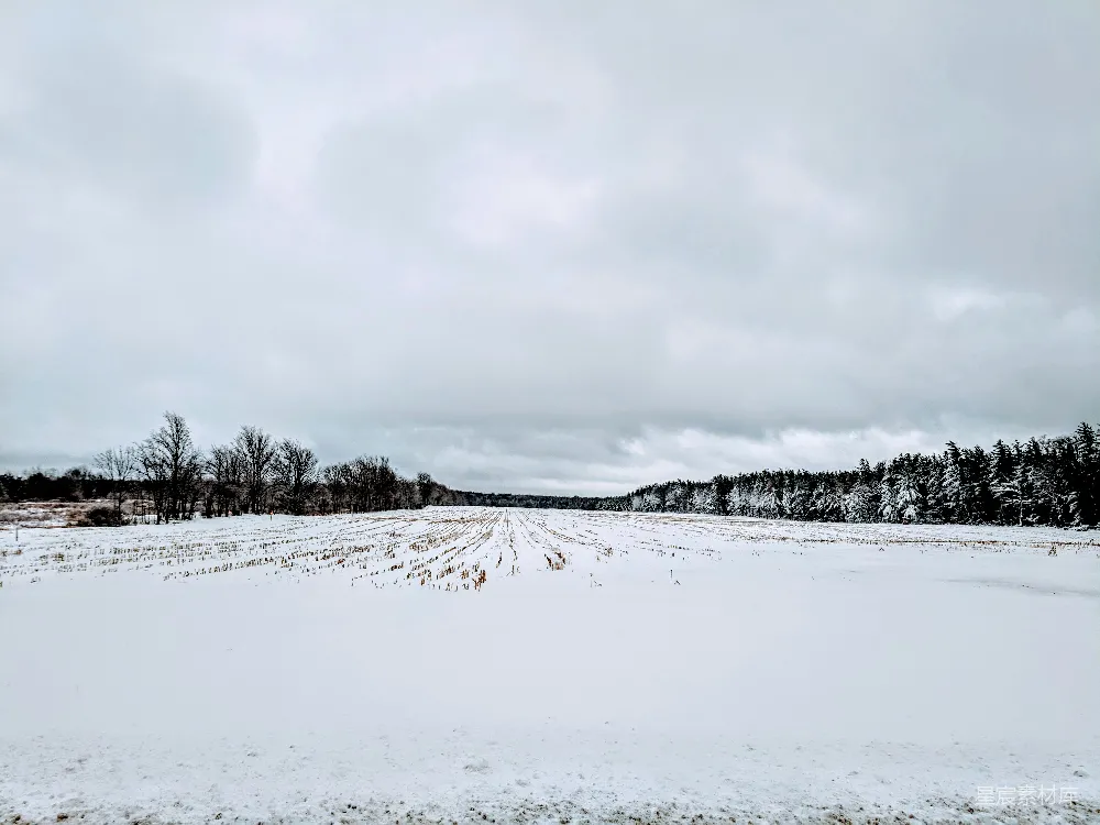 高清摄影 雪景 田野 冬季 自然风光 宁静 雪后的田野