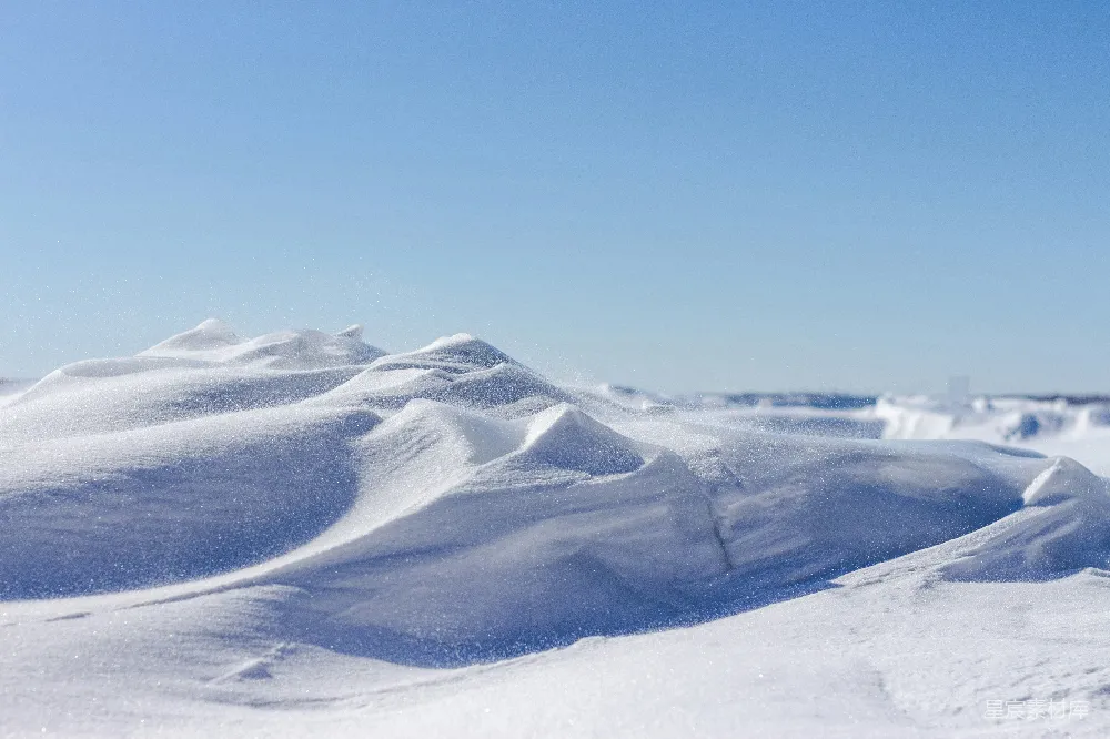 高清摄影 雪地 冬季 自然风光 宁静 风景 雪地飘雪：宁静的冬日风景