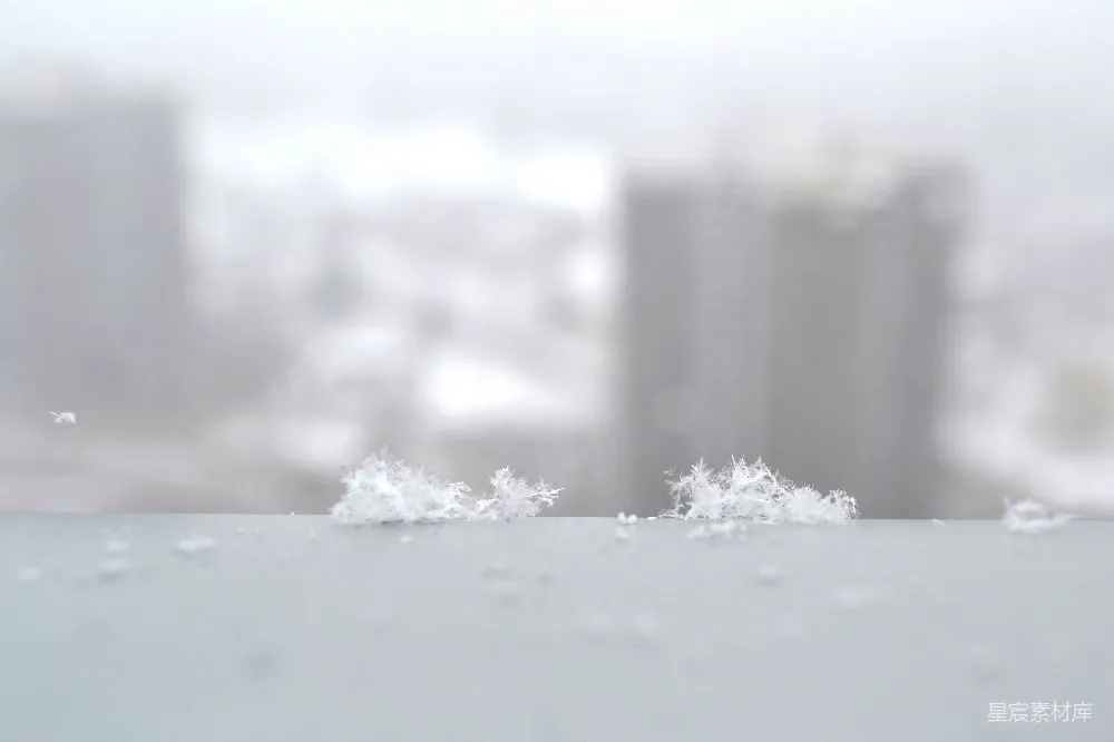 高清摄影 冬日 雪花 微距 自然 静谧 冬日的雪花微景