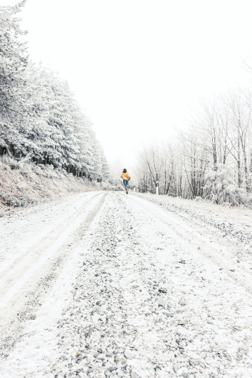 高清摄影 雪景 乡村 旅行 自然 冬季 雪后的乡间小路