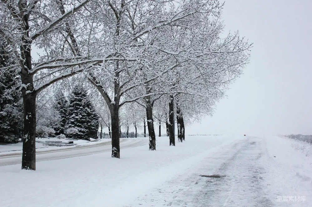 高清摄影 冬季 雪景 公路 自然风光 宁静 冬日雪景中的道路
