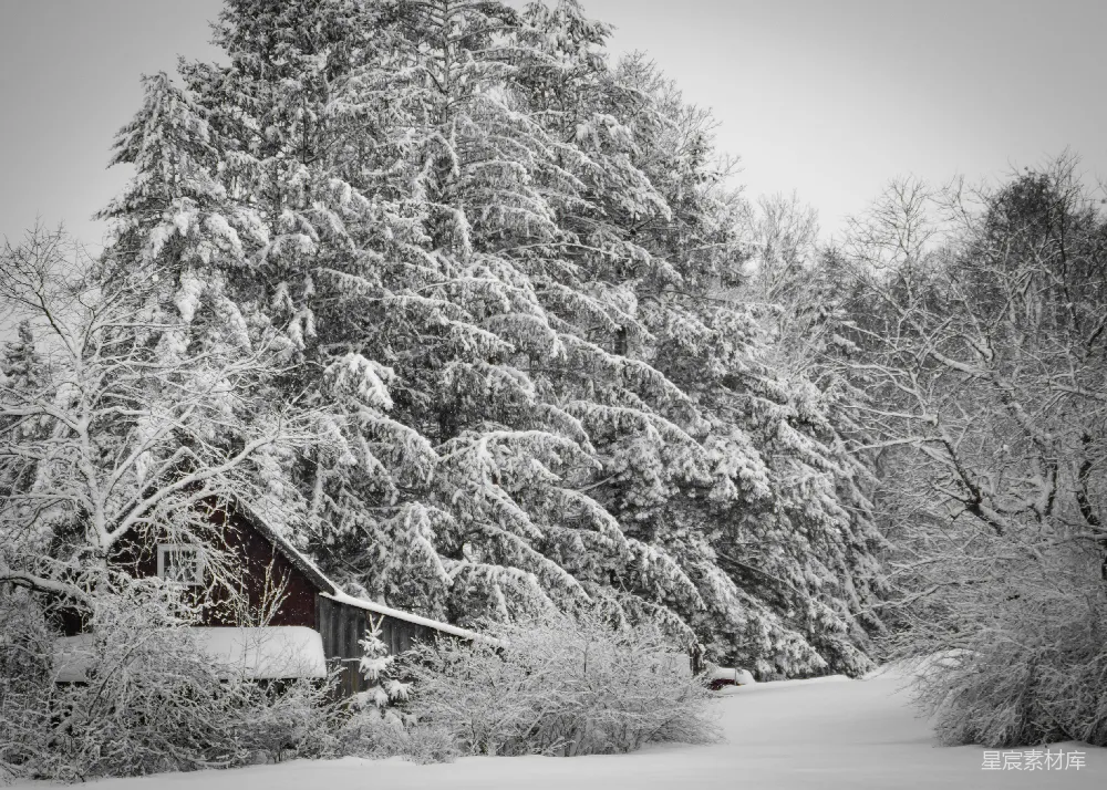 高清摄影 冬日 雪景 乡村 静谧 自然 冬日雪景中的红色小屋