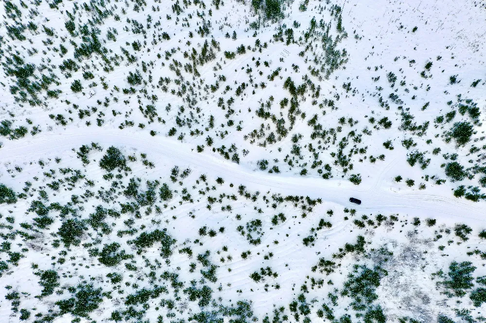高清摄影 雪地 森林 航拍 冬季 自然 雪地中的森林小径