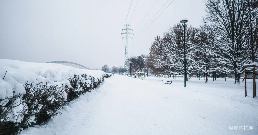 高清摄影 雪景 城市公园 冬季 宁静 户外 冬日雪景中的城市公园