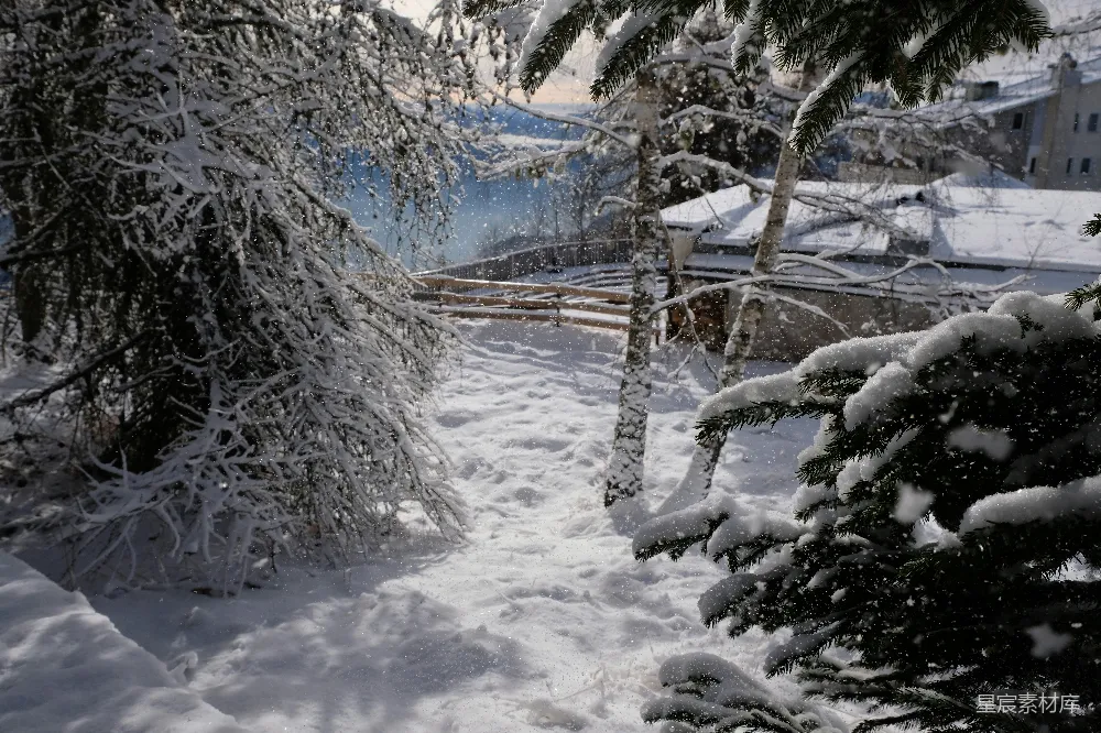 高清摄影 冬日 雪景 自然风光 清晨 宁静 雪后的冬日清晨