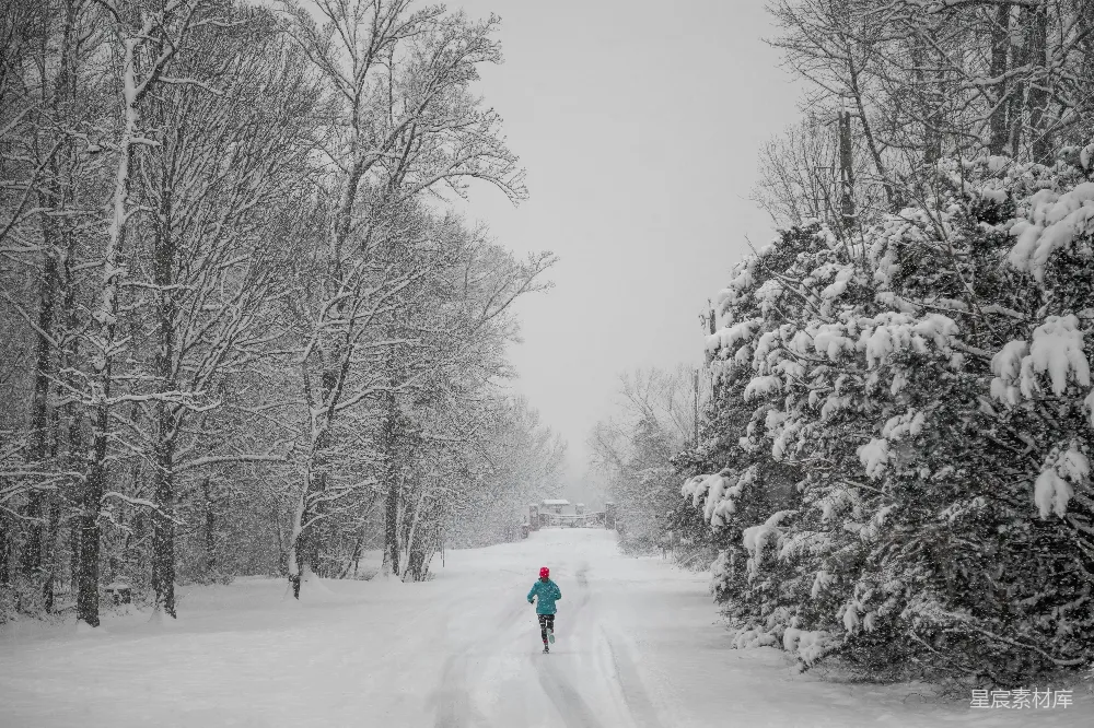 高清摄影 雪景 冬季 自然风光 户外运动 宁静 冬日雪景中的奔跑者