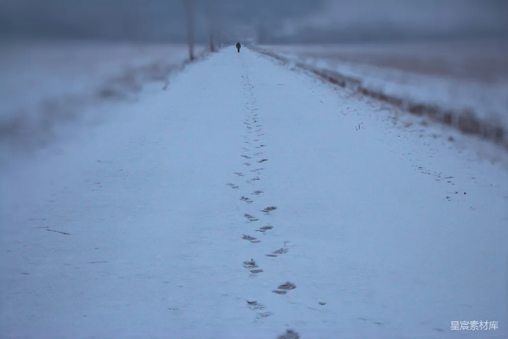 高清摄影 雪地 足迹 孤独 自然 旅行 雪地里的足迹