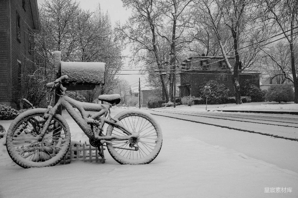高清摄影 雪景 自行车 黑白 静谧 冬日 冬日雪景中的自行车