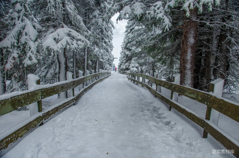 高清摄影 冬季 自然 雪景 户外 宁静 雪后森林小径