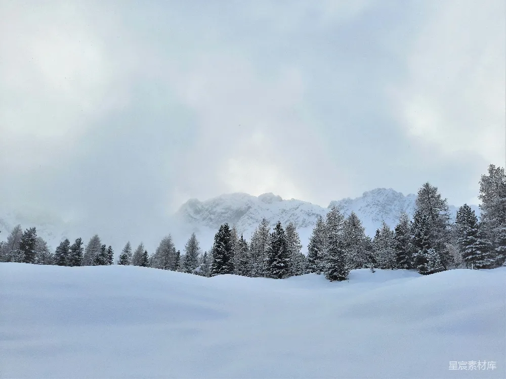 高清摄影 雪景 自然风光 冬季 户外 山景 冬日山景：雪覆盖的松林与远处的山峰