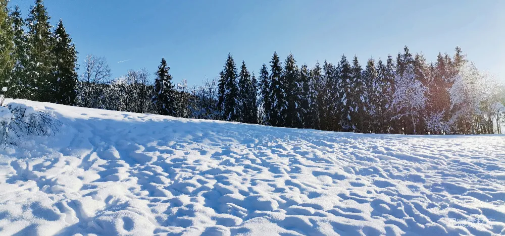 高清摄影 雪景 冬季 自然风光 户外 宁静 冬日雪景