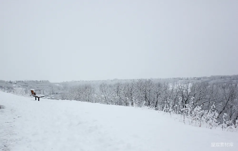 高清摄影 雪景 冬季 静谧 自然 户外 雪景中的宁静长椅
