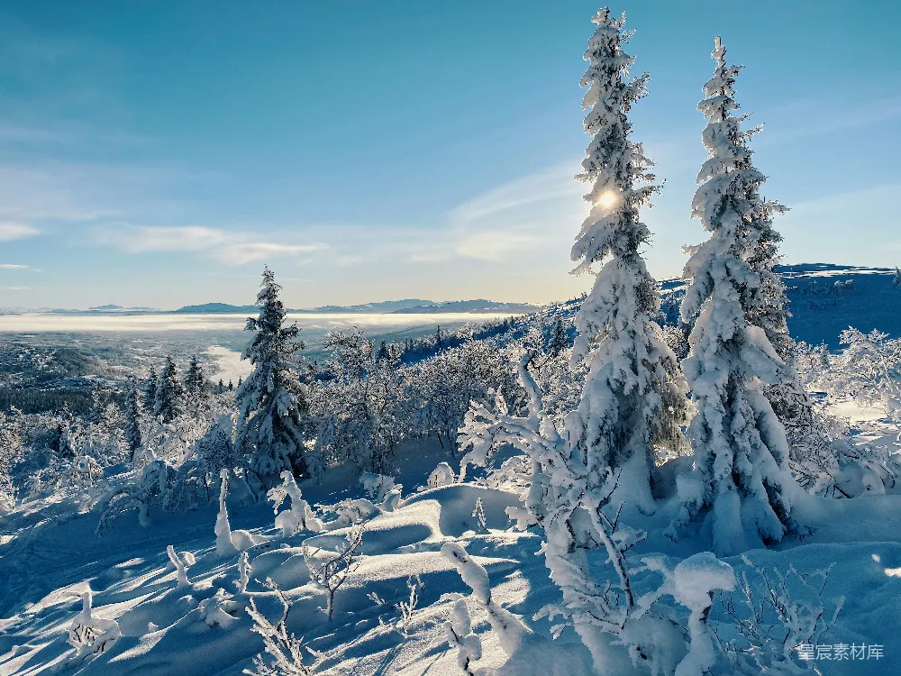 高清摄影 雪景 冬季 自然风光 山地 宁静 冬日山巅雪景