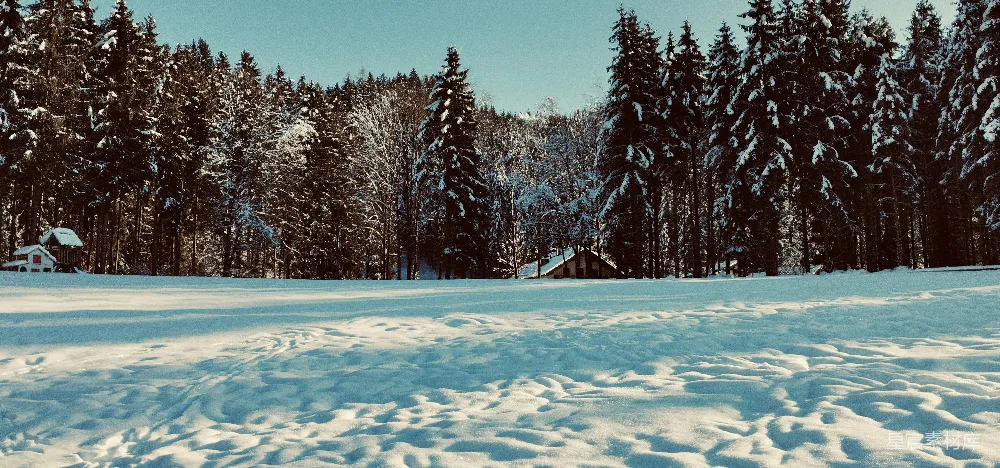 高清摄影 雪景 森林 小木屋 冬季 自然 冬日雪景中的小木屋