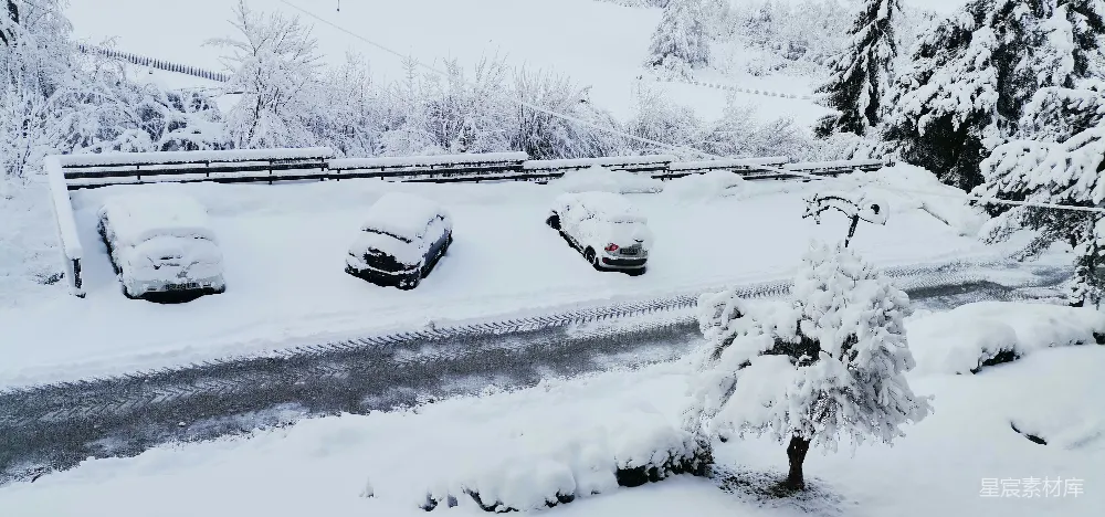 高清摄影 雪景 乡村 宁静 自然 冬季 雪后的宁静乡村