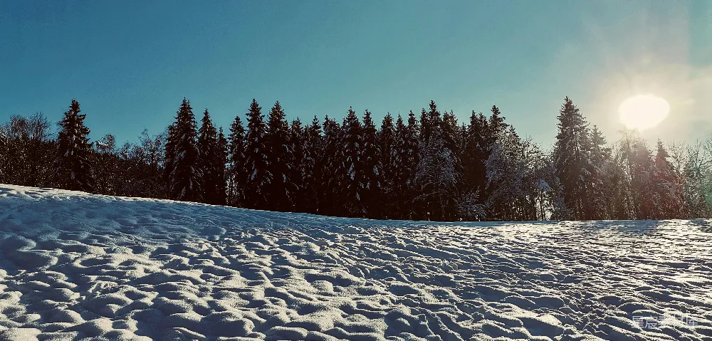 高清摄影 雪景 冬季 自然风光 户外 宁静 冬日雪景