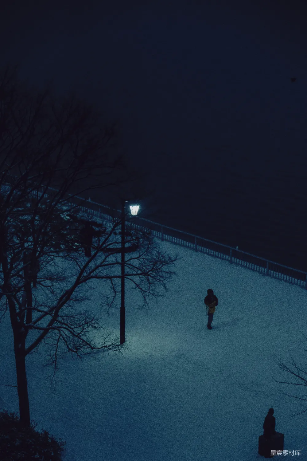 高清摄影 冬夜 湖畔 孤独 灯光明亮 雪景 冬夜的湖畔