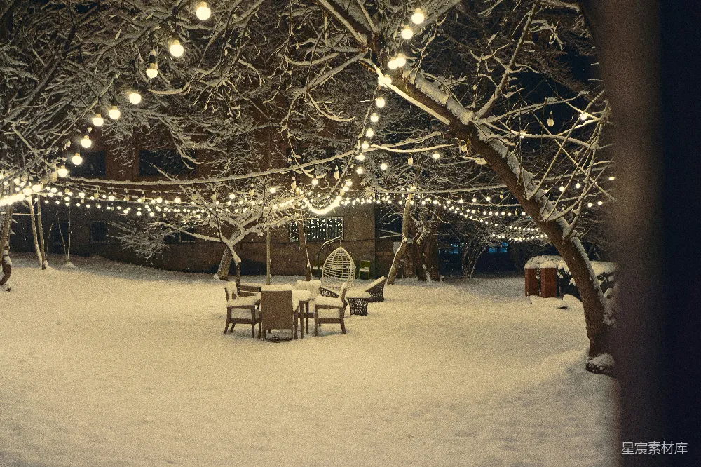 高清摄影 冬夜 雪景 聚会 温馨 户外 冬夜雪景中的温馨聚会