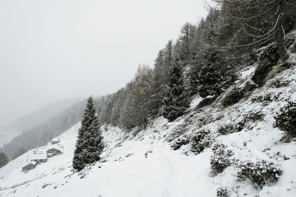 高清摄影 雪景 自然风光 冬季 森林 宁静 雪中的山间小屋