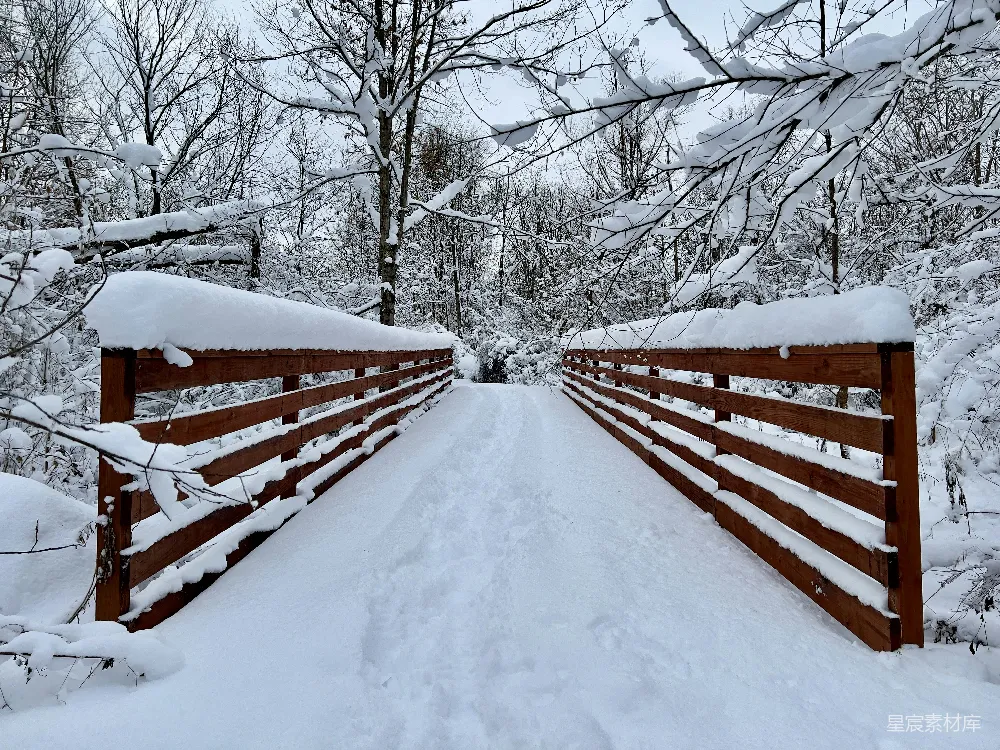 高清摄影 雪景 自然风光 冬季 户外 宁静 雪景中的木桥