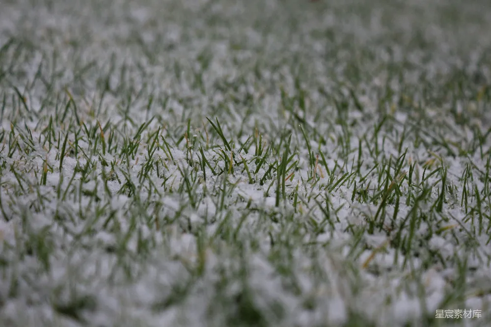 高清摄影 雪 草地 冬季 自然 户外 冬日草地上的雪