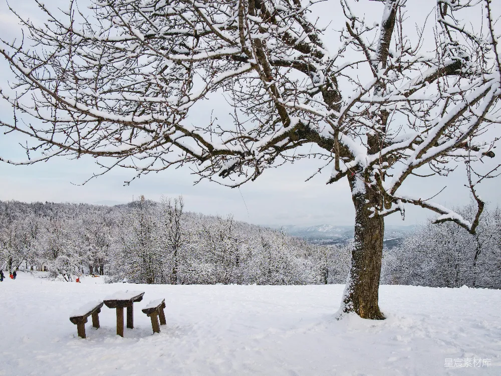 高清摄影 冬季 雪景 自然风光 静谧 户外 冬日静谧雪景