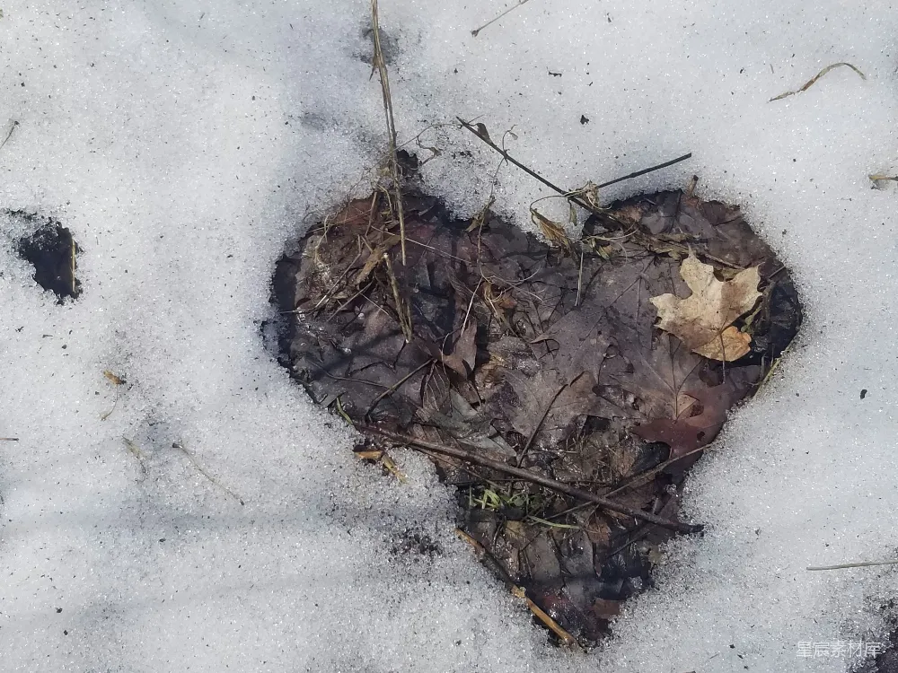 高清摄影 自然 冬日 心形 雪地 落叶 雪地里的落叶心形