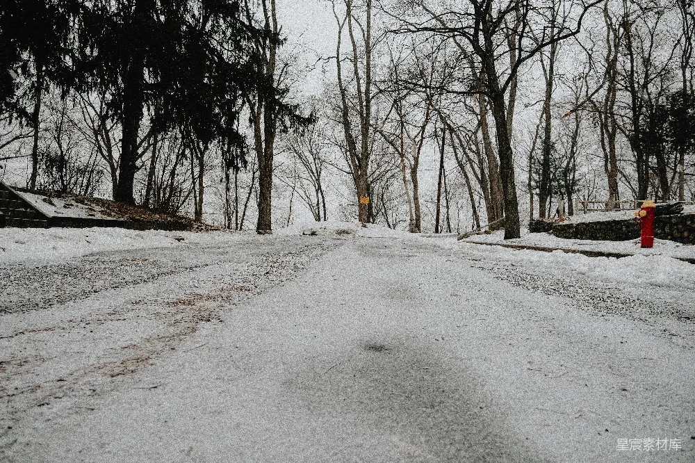 高清摄影 雪景 静谧 冬季 自然 户外 冬日雪景中的静谧小路