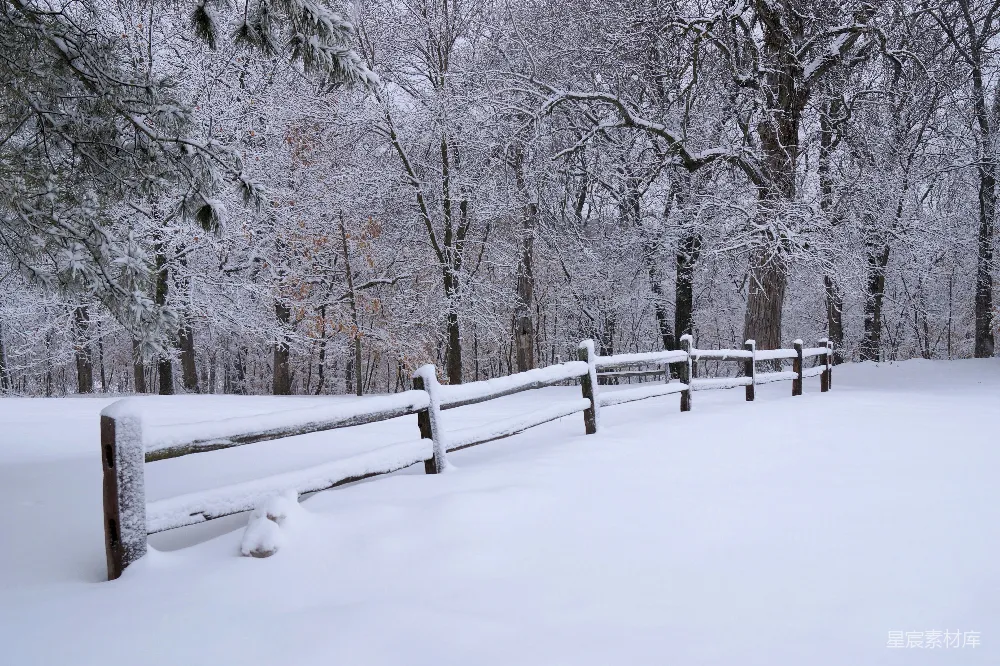 高清摄影 冬季 雪景 自然 静谧 户外 冬日雪景中的宁静木椅