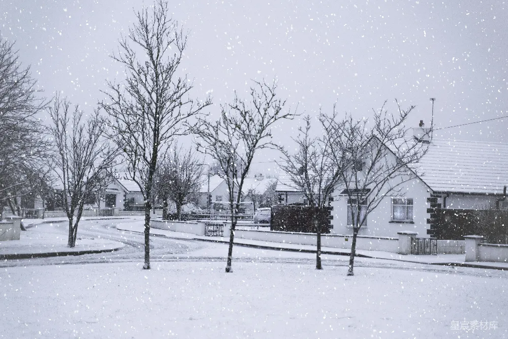 高清摄影 雪景 乡村 宁静 冬季 自然 雪中的小镇
