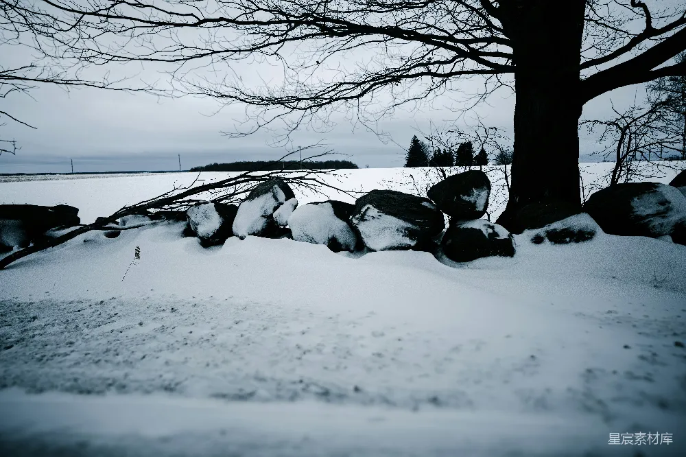 高清摄影 冬日 雪景 自然 岩石 宁静 冬日雪景下的静谧岩石