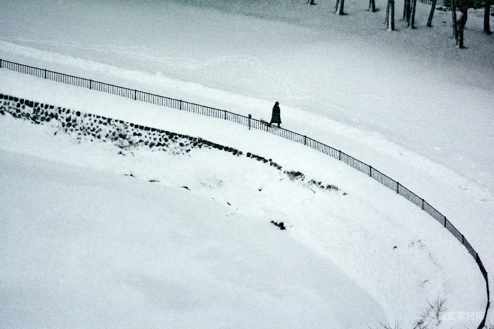 高清摄影 雪景 冬季 孤独 户外 宁静 雪地漫步