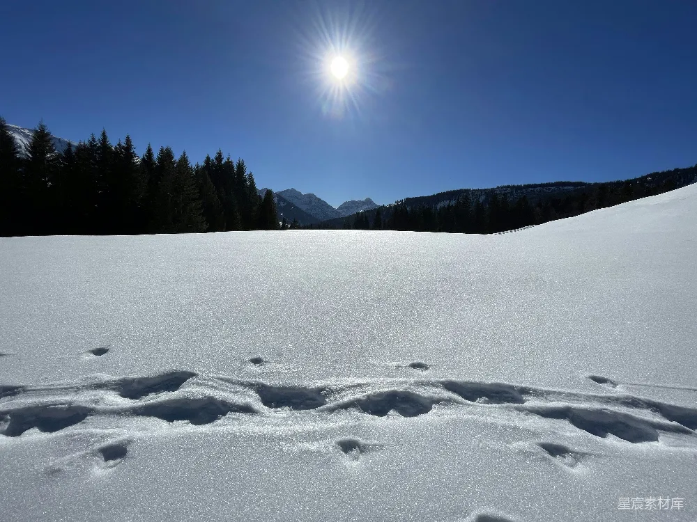 高清摄影 雪地 阳光 自然风光 户外 冬季 阳光下的雪地