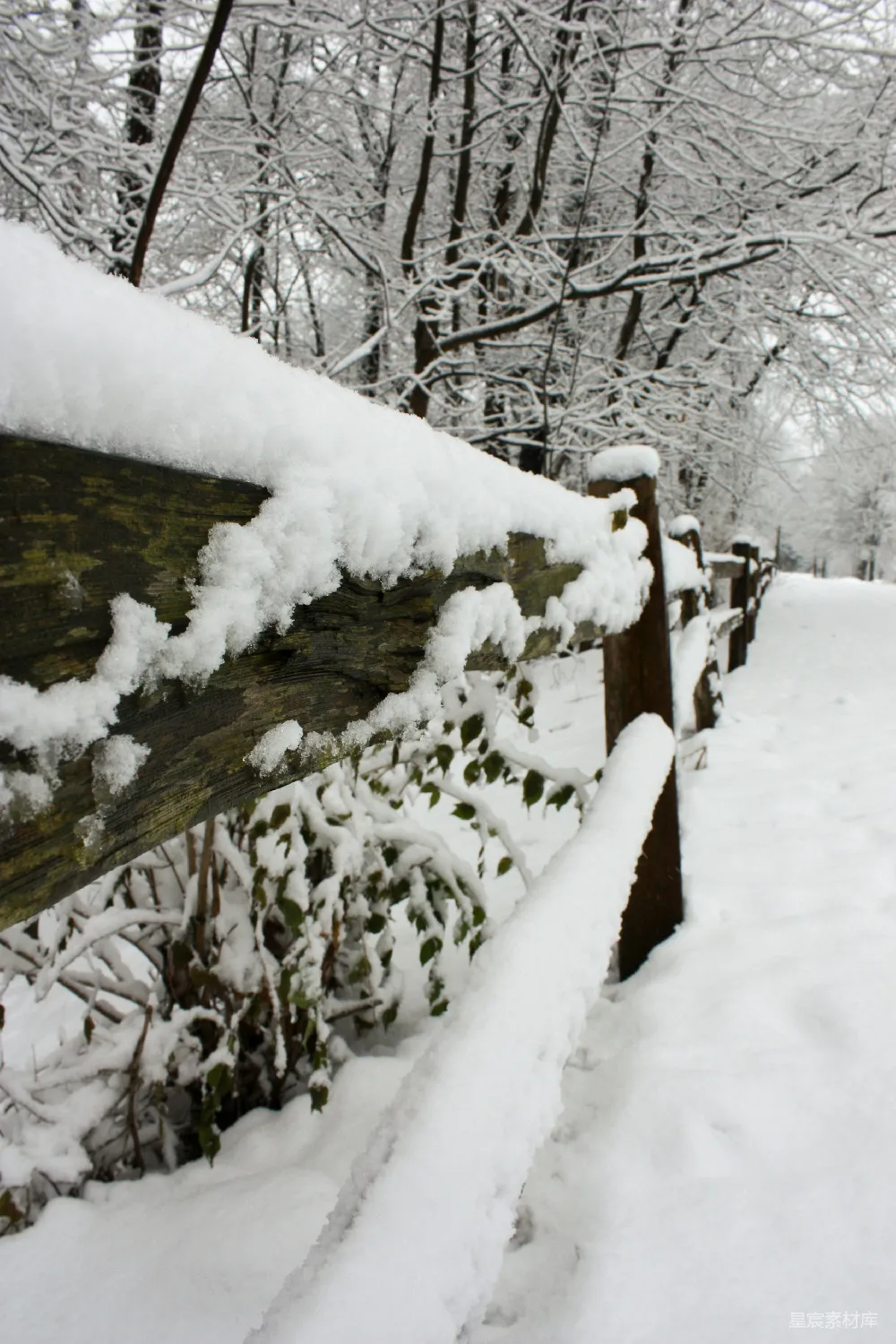 高清摄影 雪景 冬季 自然 乡村 宁静 冬日雪景中的木栅栏
