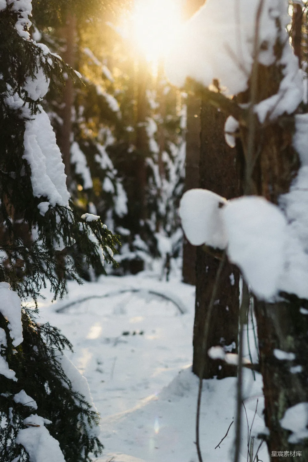 高清摄影 雪景 冬日 自然 阳光 小径 冬日阳光下的雪林小径