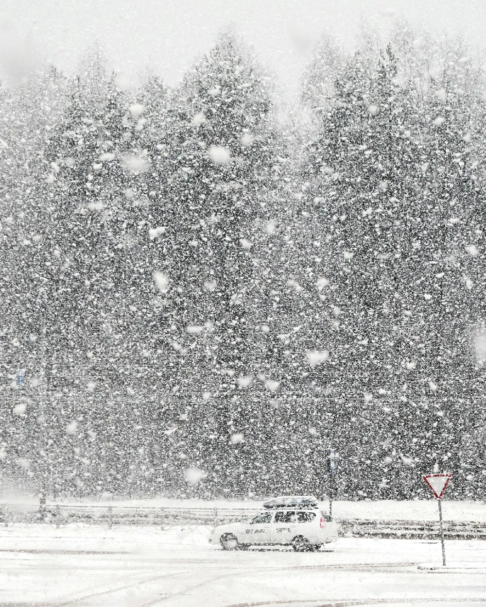 高清摄影 雪景 冬季 自然 城市 风景 飘雪中的汽车