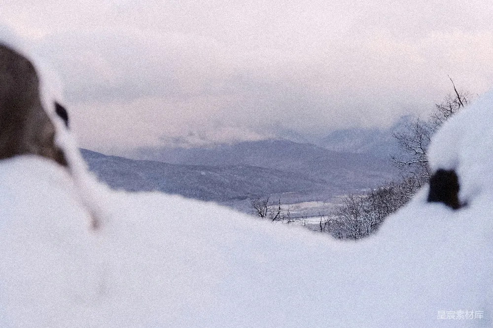高清摄影 雪景 山景 自然风光 冬季 宁静 雪中风景