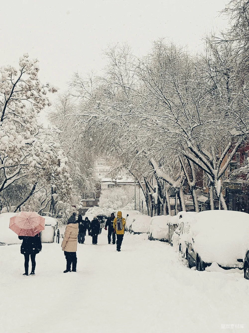 高清摄影 雪景 冬季 城市 休闲 风景 雪中漫步