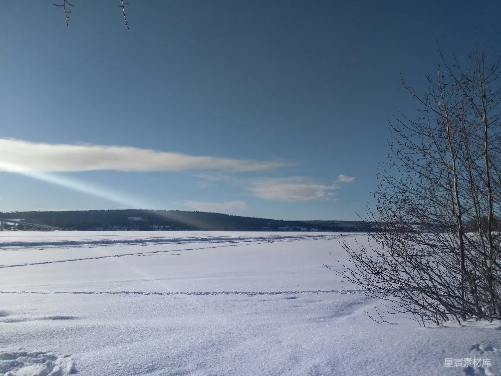 高清摄影 冬季 雪景 湖畔 自然风光 宁静 冬日雪景下的宁静湖畔