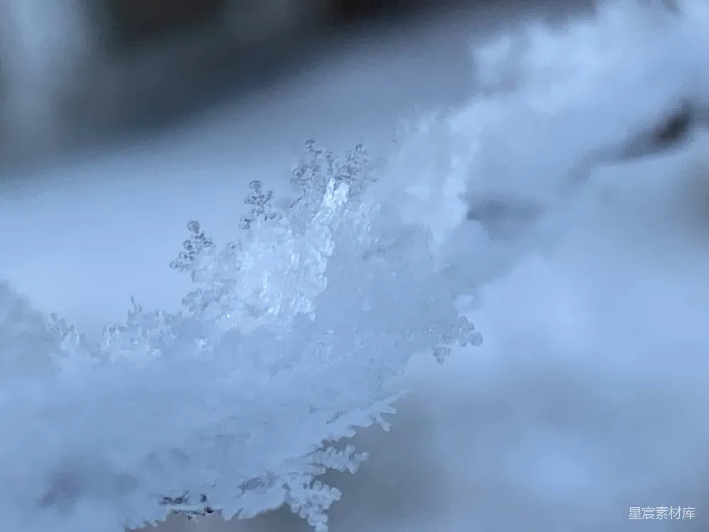 高清摄影 雪花 自然 冬季 纯净 寒冷 雪花之美